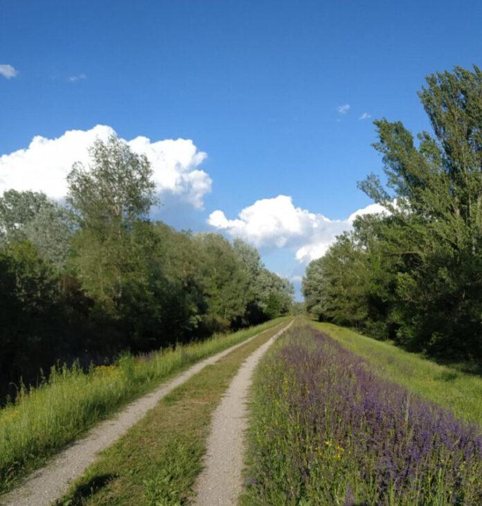 parco secchia