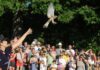 Ferragosto a Zocca: con Il Pettirosso centinaia di animali selvatici tornano liberi