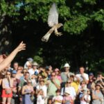 Ferragosto a Zocca: con Il Pettirosso centinaia di animali selvatici tornano liberi