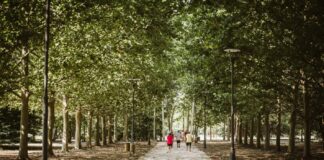 Al Parco Santacroce una passeggiata tra erbe, alberi e segreti della natura