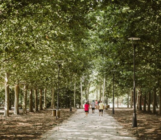 Al Parco Santacroce una passeggiata tra erbe, alberi e segreti della natura