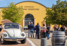 Balsamico & Motori: due icone modenesi, un’esperienza unica