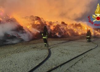 Incendio all’impianto di biomassa di Finale Emilia, vigili al lavoro per tutta la notte