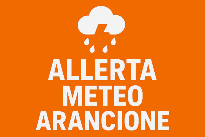 allerta