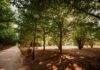 Più tutela per Parco Santacroce: arrivano le Guardie Eco Zoofile