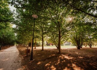 Più tutela per Parco Santacroce: arrivano le Guardie Eco Zoofile