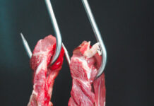 L’Europa chiude le porte alla carne e ad altri prodotti di origine animale brasiliani