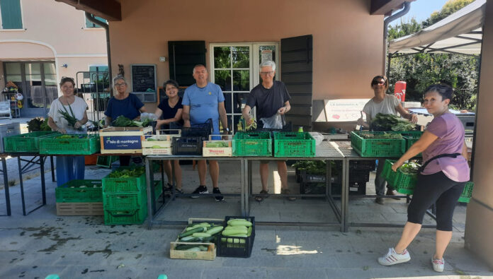 foto di una distribuzione