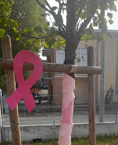 Novi si tinge di rosa: gli alberi diventano simbolo di prevenzione e speranza