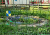 Scuola Rodari, la segnalazione: “Rifiuti e acqua stagnante nel giardino da mesi”