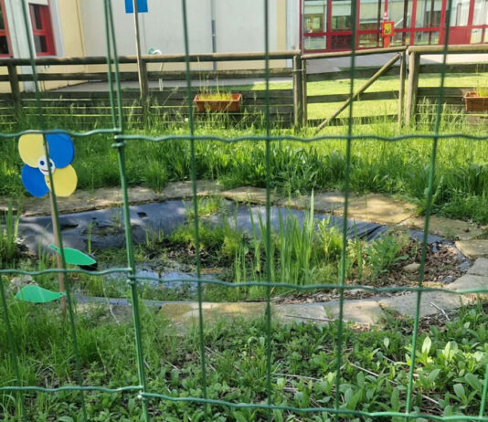 Scuola Rodari, la segnalazione: “Rifiuti e acqua stagnante nel giardino da mesi”