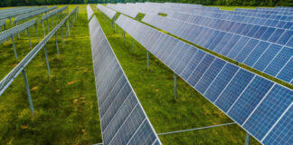 L’agrivoltaico di Rovereto: opportunità per la transizione o ferita per il territorio?