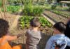 Bambini in visita agli Orti Sociali per la Festa dei Nonni