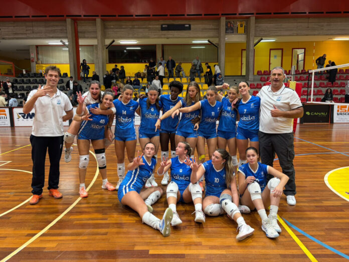 serie d